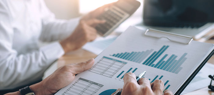 DMCC Company Audit