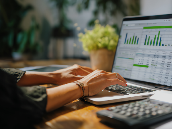 Approved dmcc audit firm