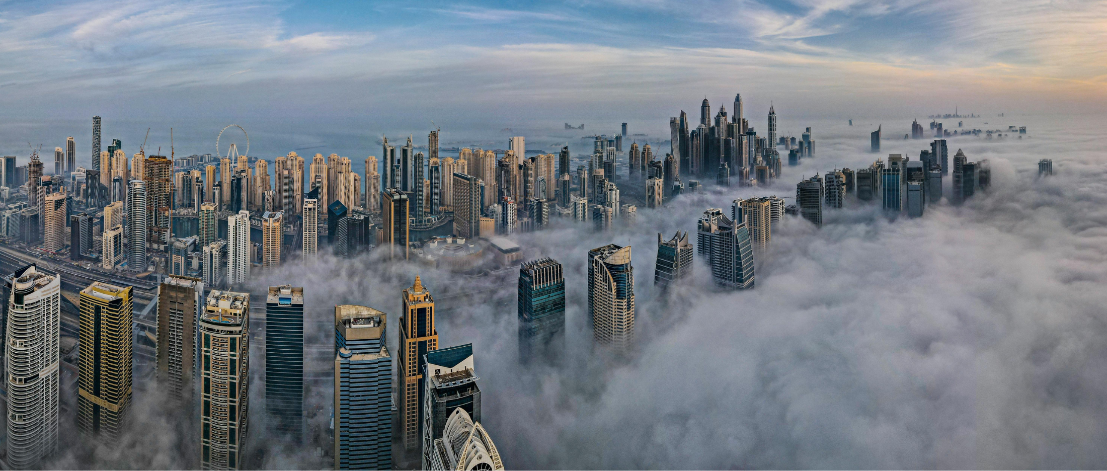 DMCC Audit Firm